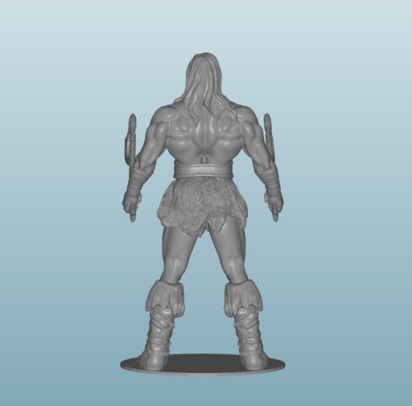 Figure of Viking (V279)